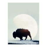Wild West (Print Only) thumbnail