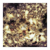 Demolition (Print Only) thumbnail