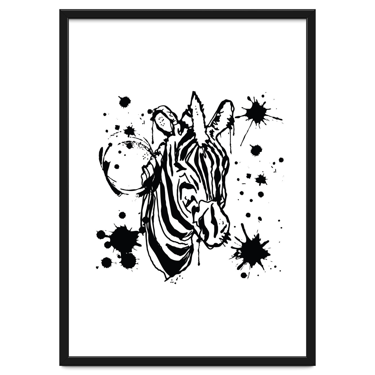 Zebra sketch