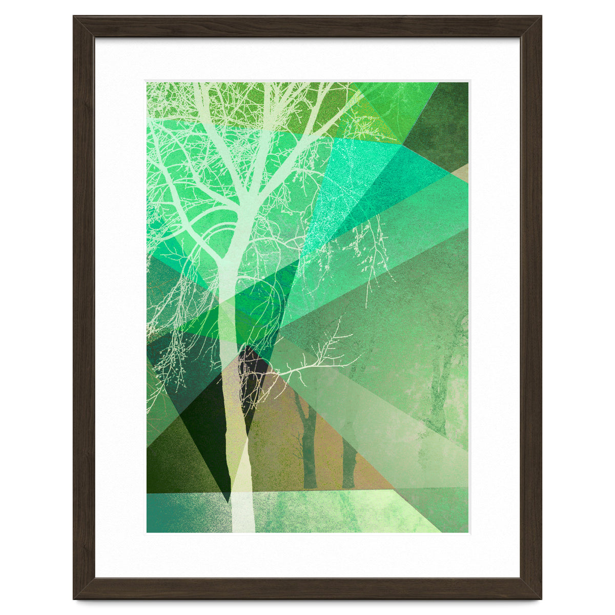 P22 B Trees And Triangles