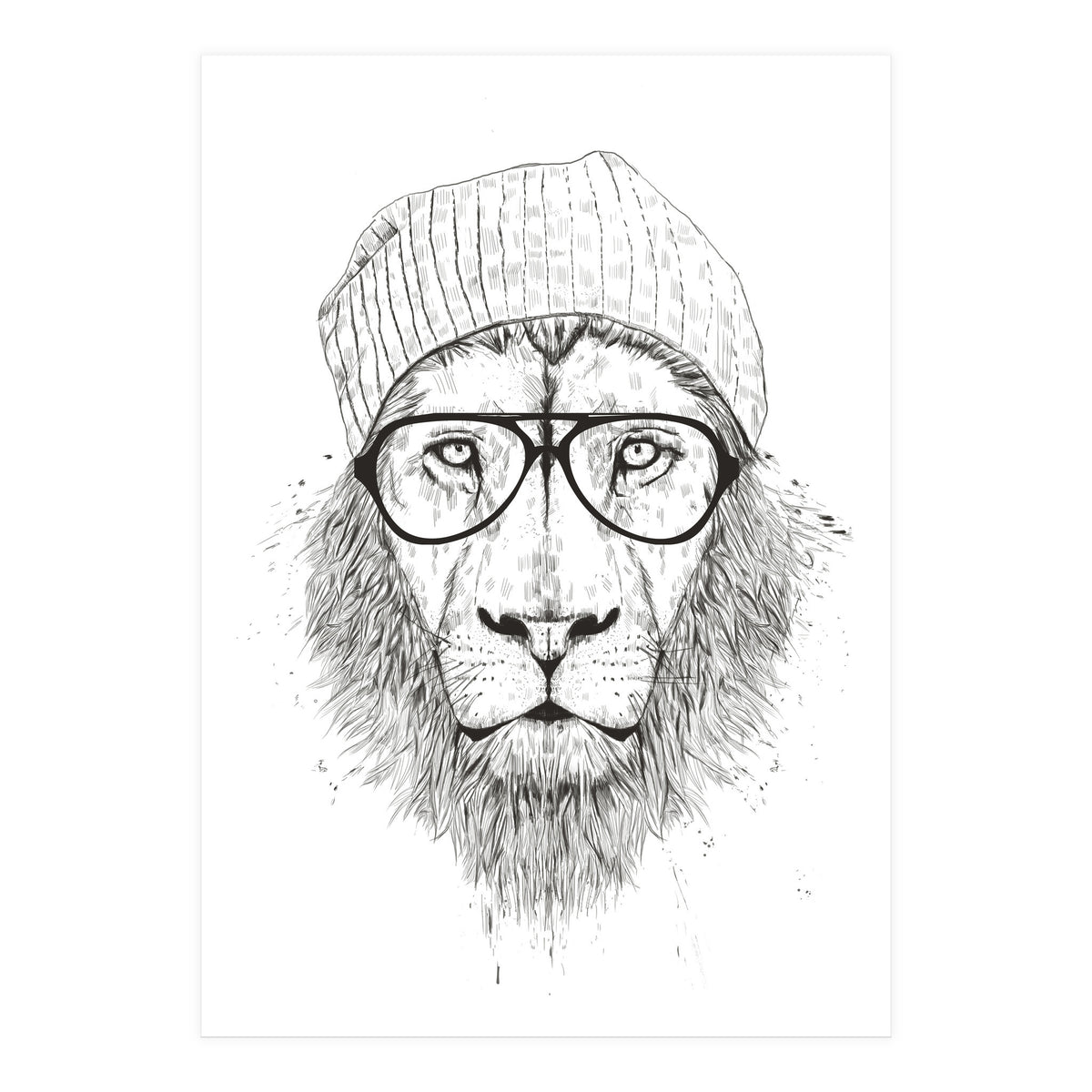 Cool Lion Bw (Print Only)