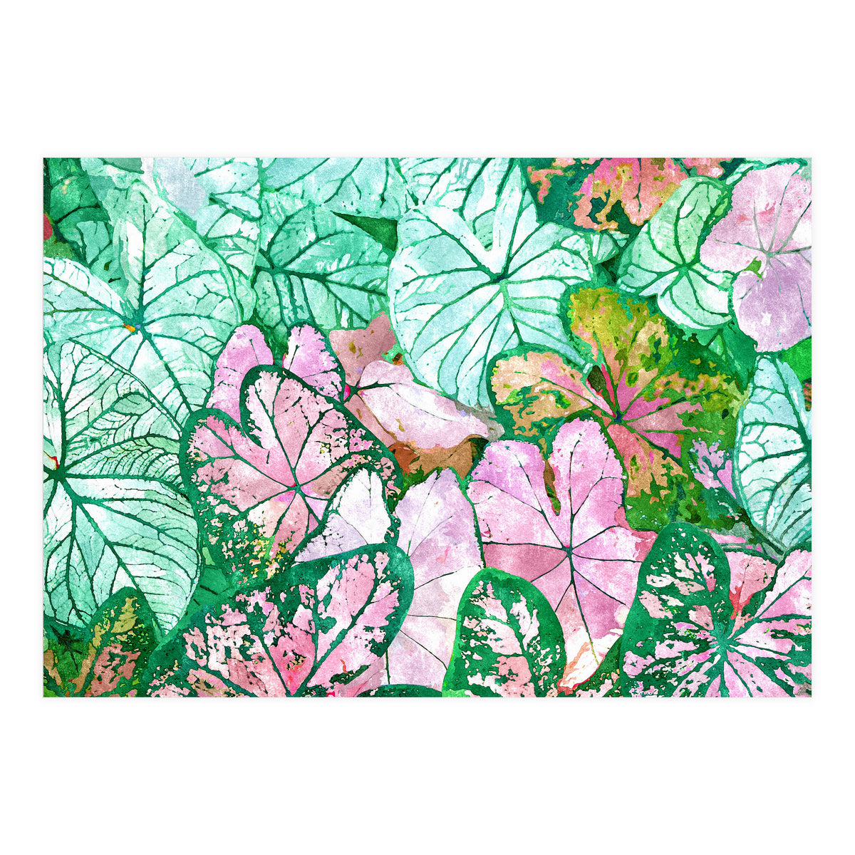 Rain & Nature (Print Only)