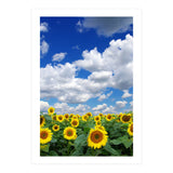 Nature (Print Only) thumbnail