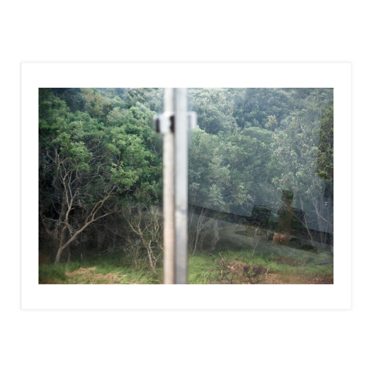 Diary of a Stalker (Print Only)