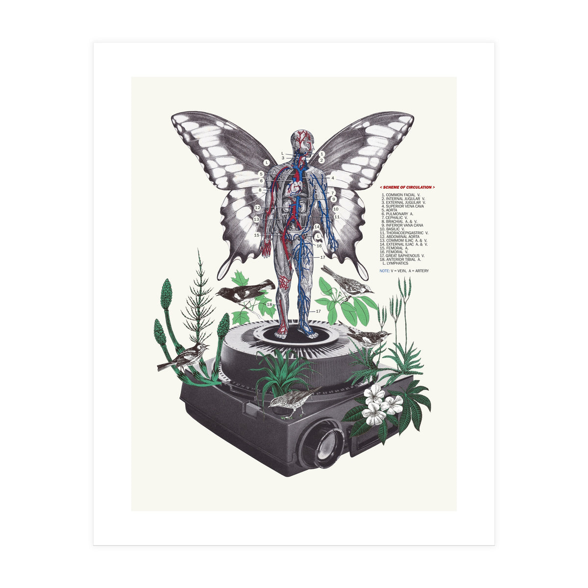 Hologram (Print Only)