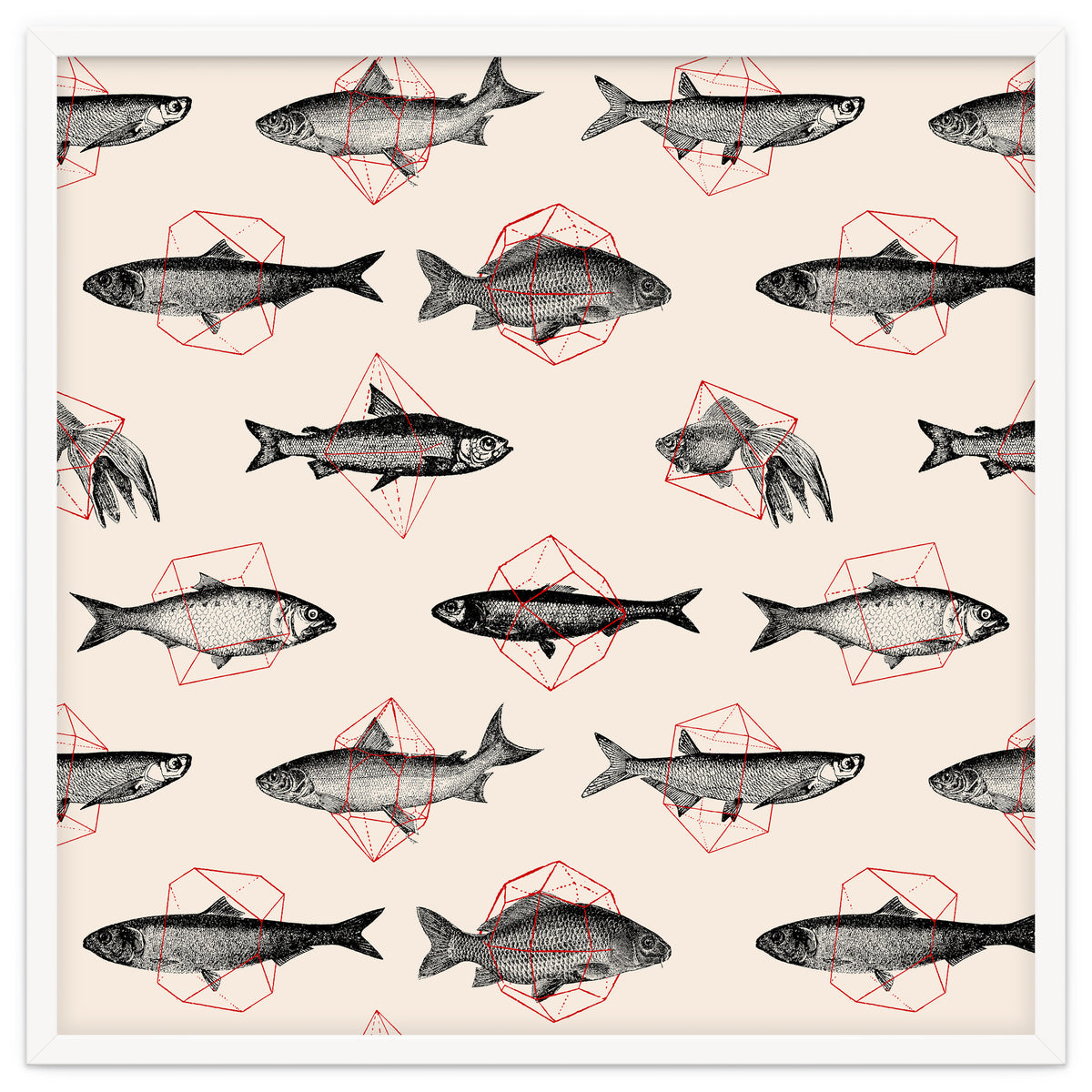 Fish In Geometrics