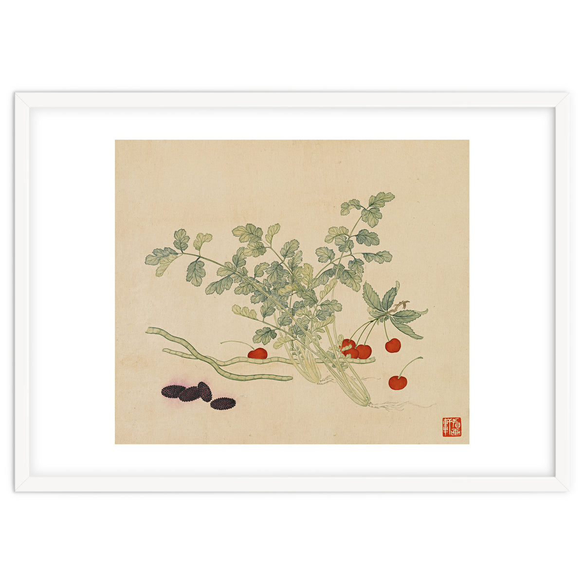Wang Chengyu~flowers And Vegetables, Vegetables, Fruits, Beans, Red Beans, Cherries, Celery