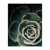 Darkside Of Succulents 4-D (Print Only) thumbnail