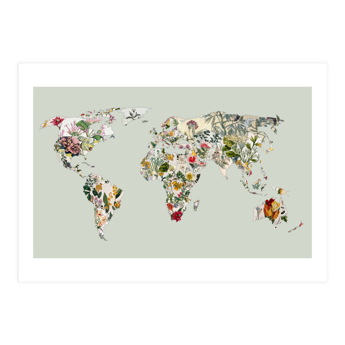 Vintage Botanical Map - Green (Print Only)
