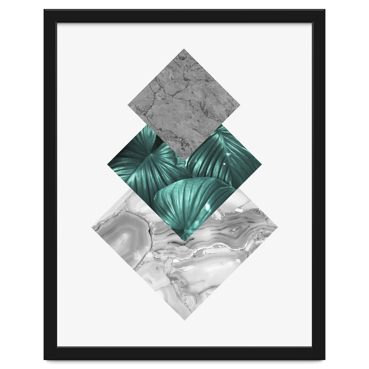 Botanical and geometric V