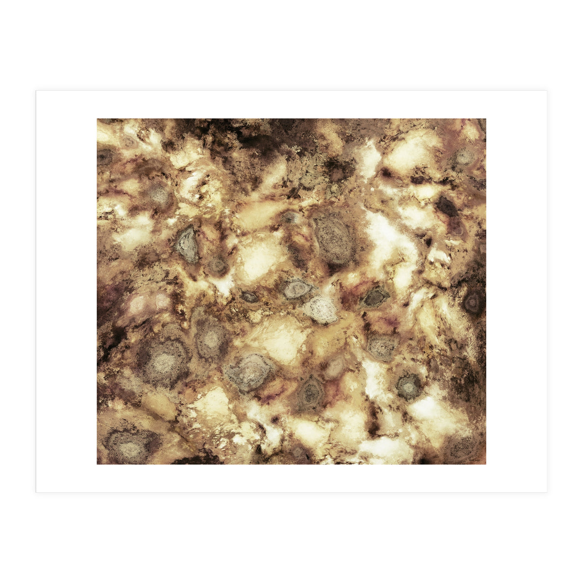 The Hard Crash (Print Only)