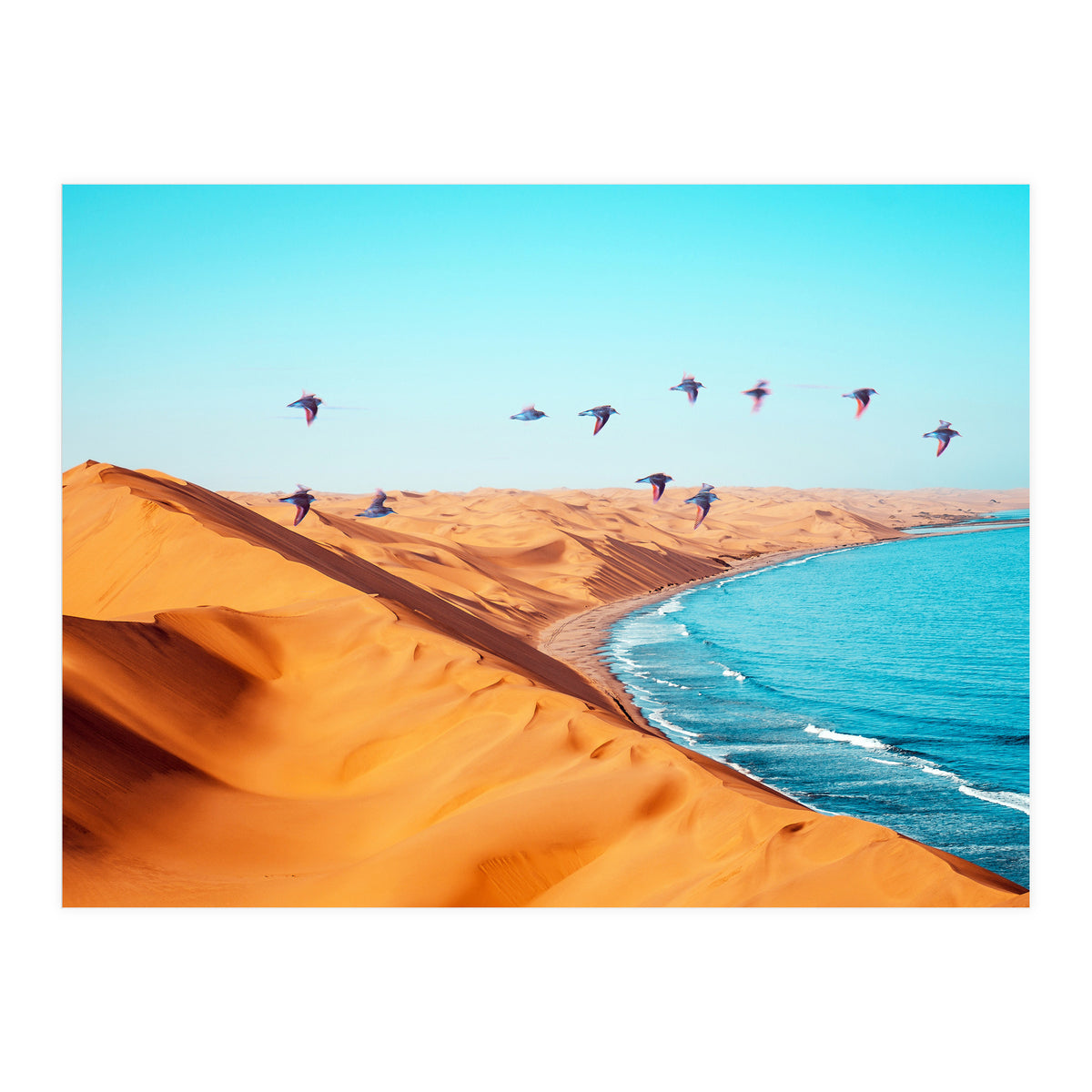 Desert Birds (Print Only)