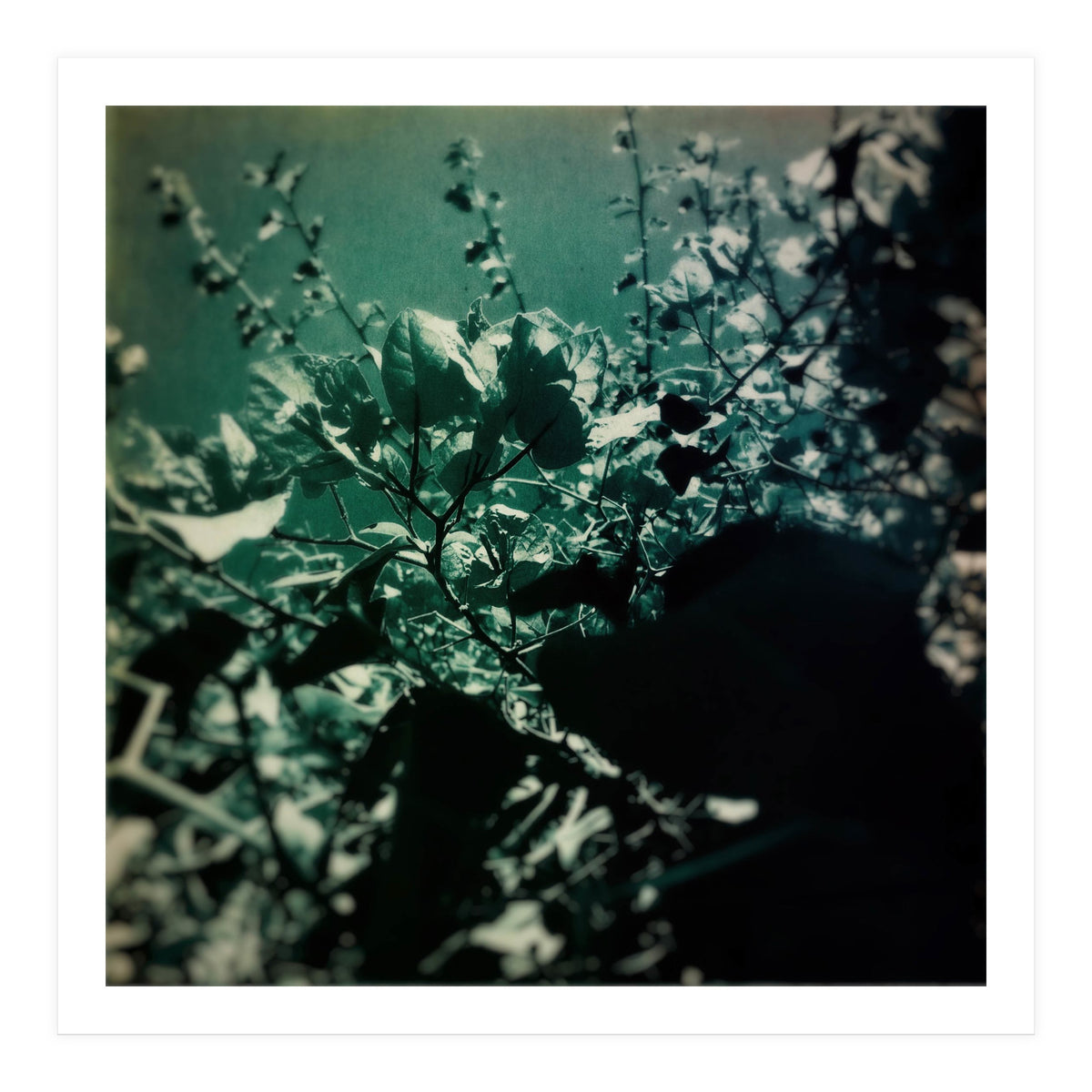 GREEN POEM (Print Only)