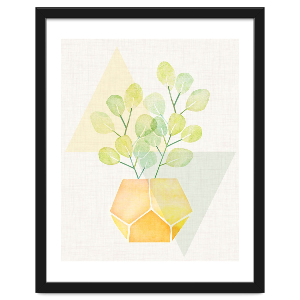 Geometry and House Plant