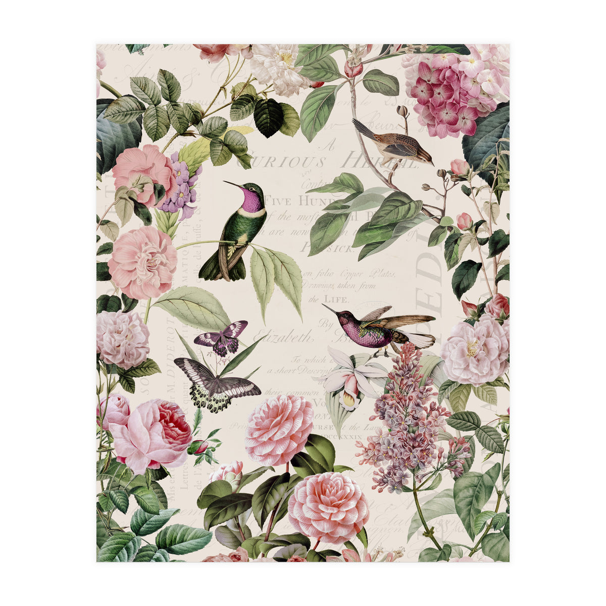 Hummingbirds And Roses (Print Only)