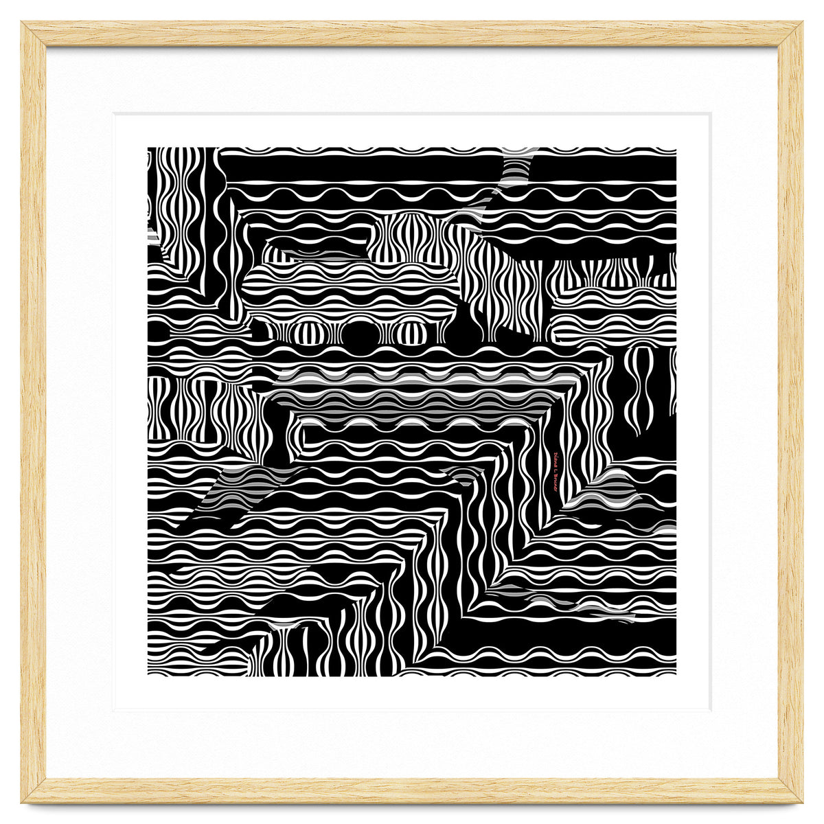 BLACK AND WHITE EXOTIC