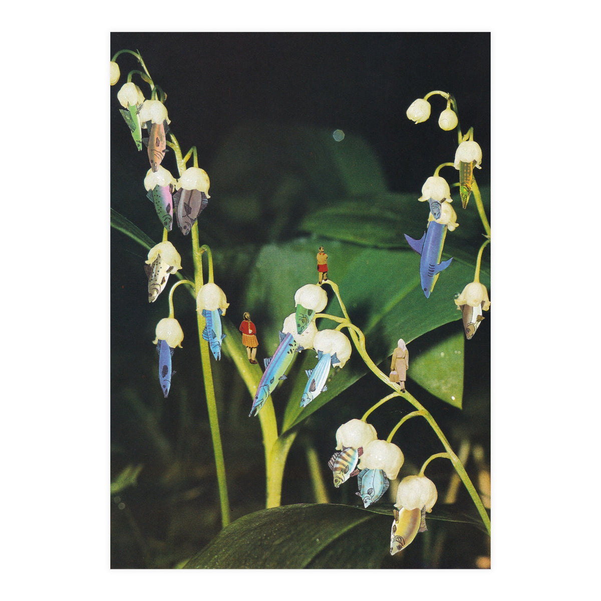 Fishflower (Print Only)