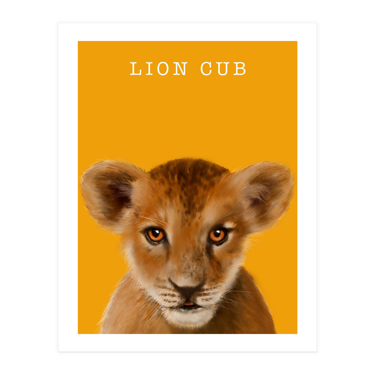 Lion Cub (Print Only)