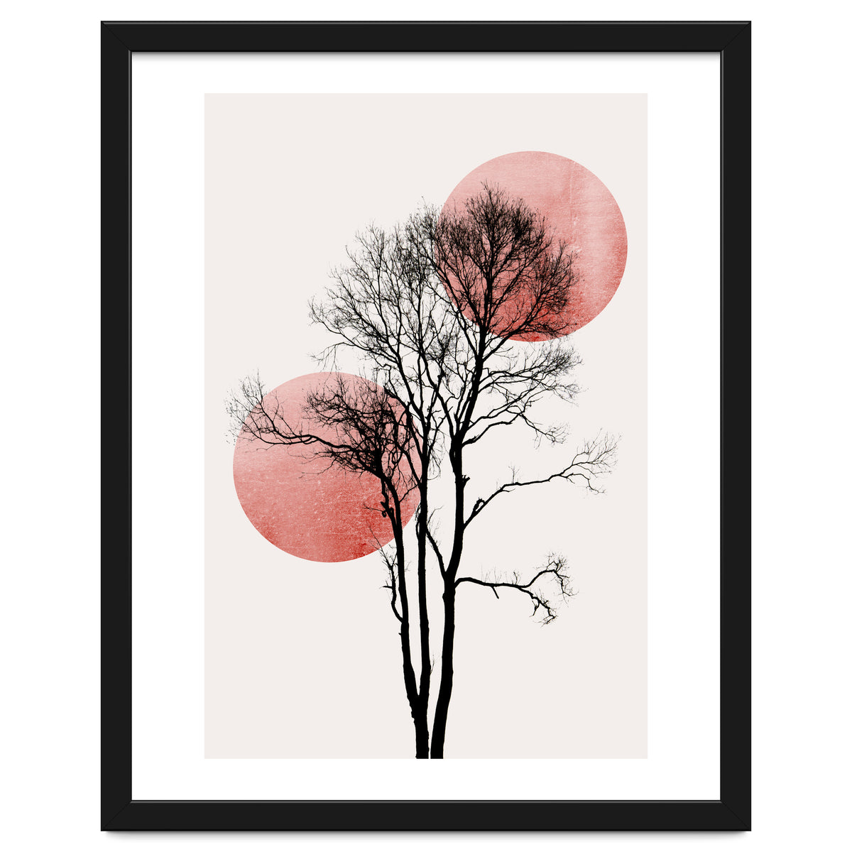 Sun And Moon Hiding Rosè