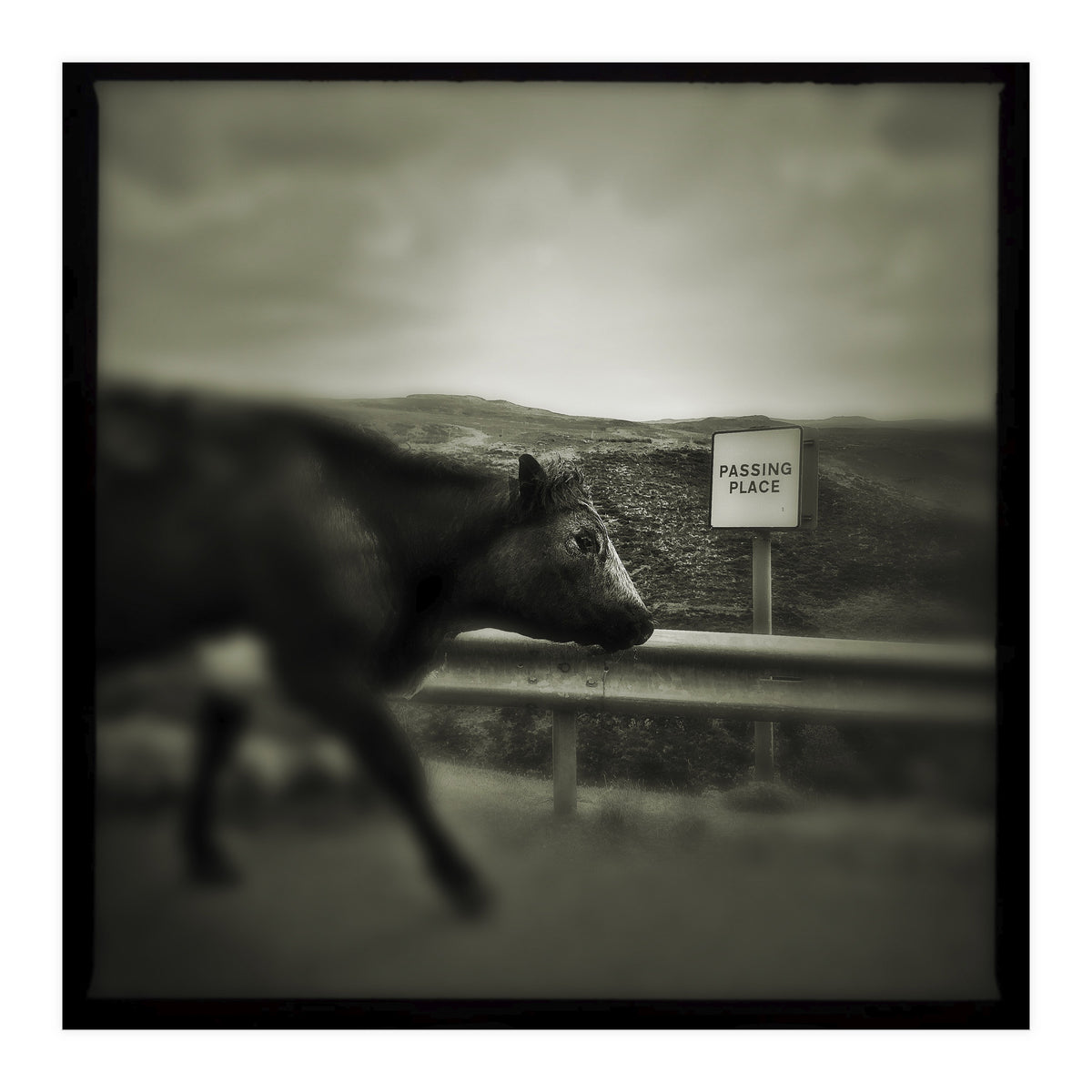 Struan Road (Print Only)