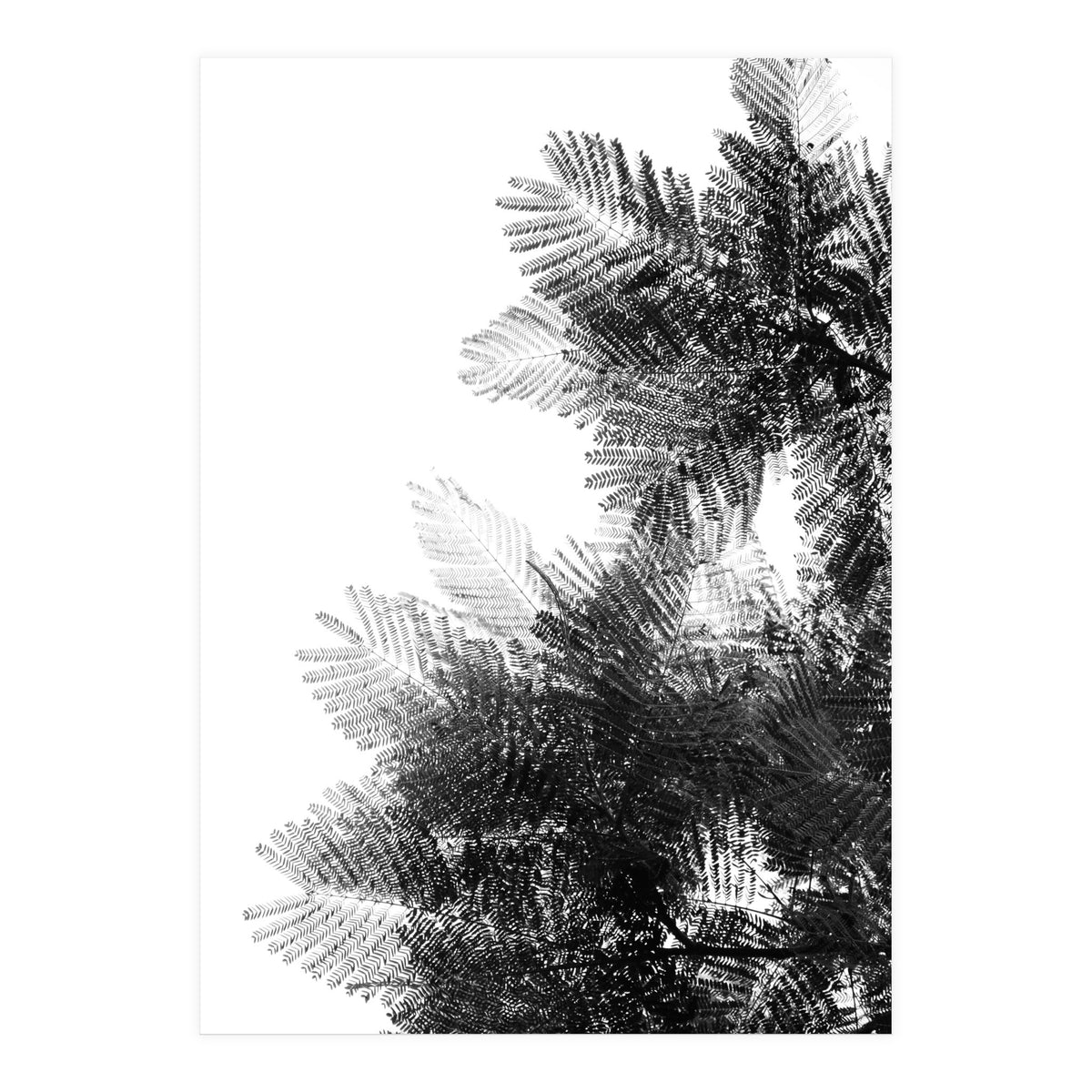 The Tree Top I (Print Only)