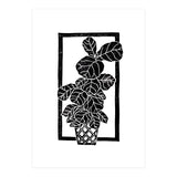 Fiddle Leaf Fig (Print Only) thumbnail