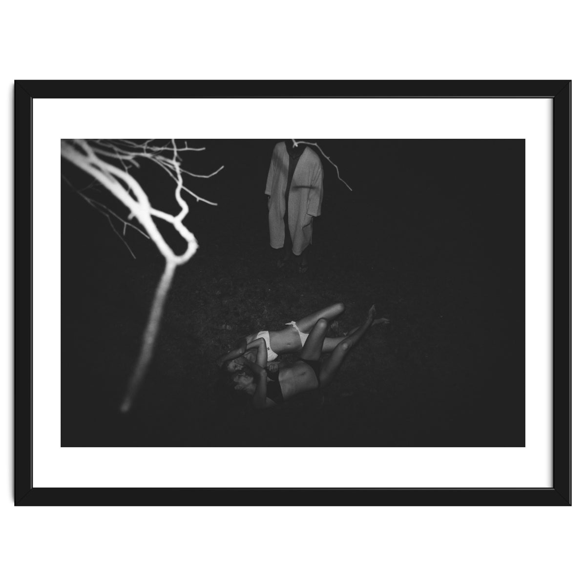 This is What it's Like to Live in a Tree House