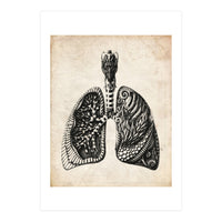 Lungs Anatomy (Print Only)