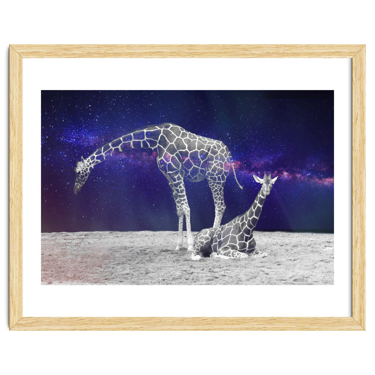 Giraffes on The Moon