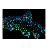 Barbel Fish (Print Only) thumbnail