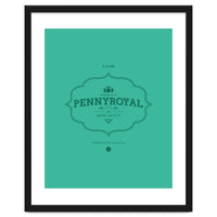 Pennyroyal Tea