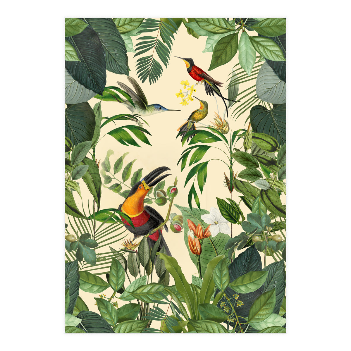 Green Jungle Toucans (Print Only)