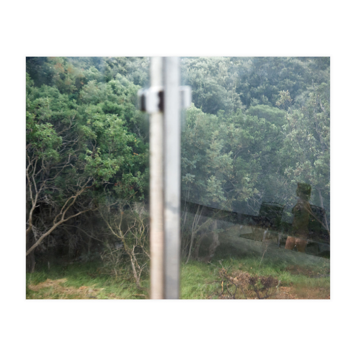 Diary of a Stalker (Print Only)