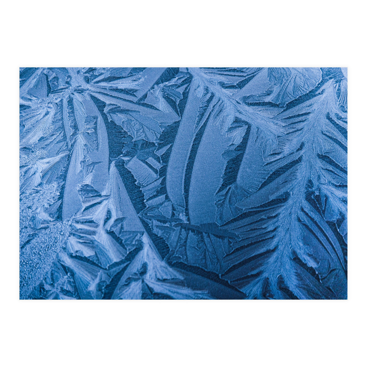 Ice Pattern Number 1 (Print Only)