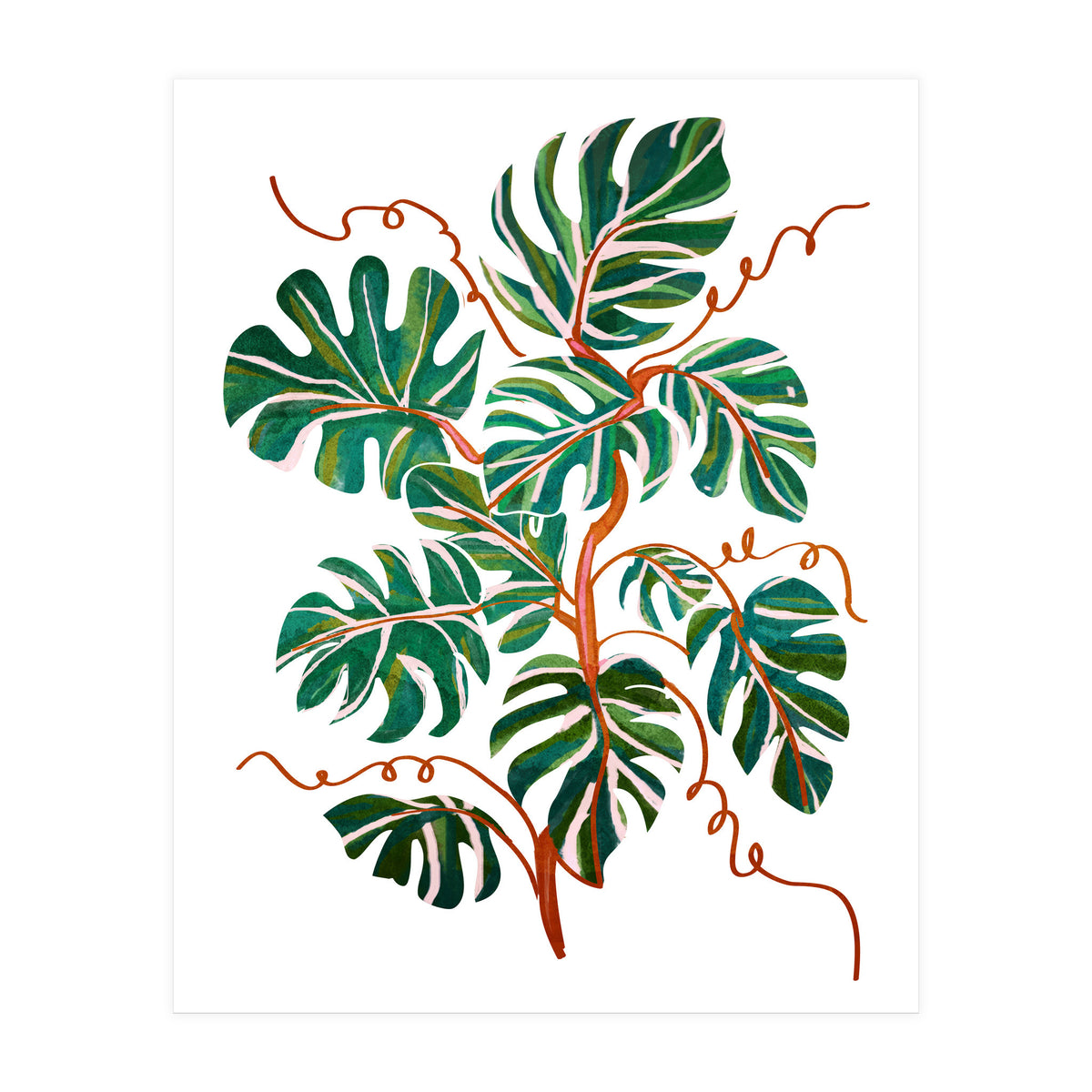 Monstera Deliciosa (Print Only)