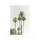 Palm Trees Summertime  (Print Only) thumbnail