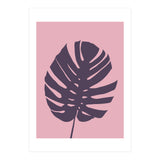 Monstera Deliciosa III (Print Only) thumbnail