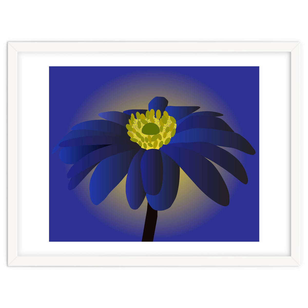 Anemone Blanda Flower Art