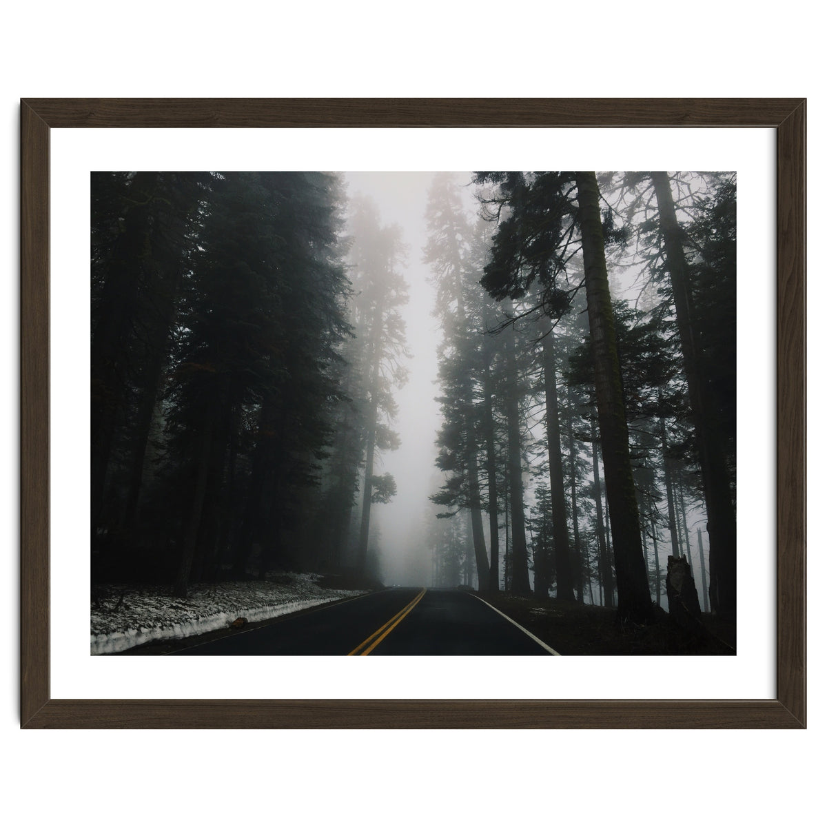 Foggy Yosemite