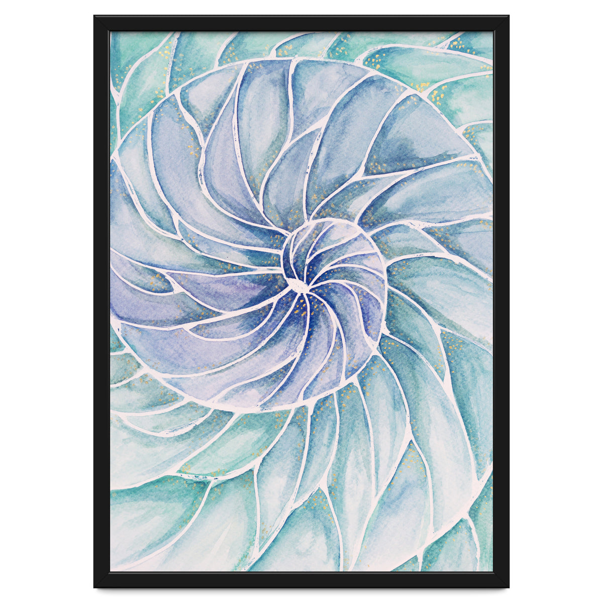 The inside of a shell