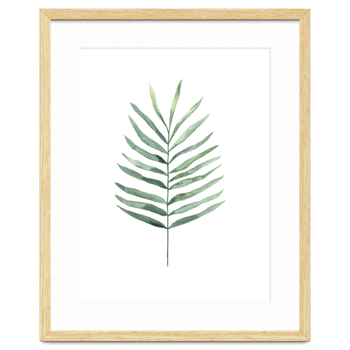 Botanical Illustration Fern