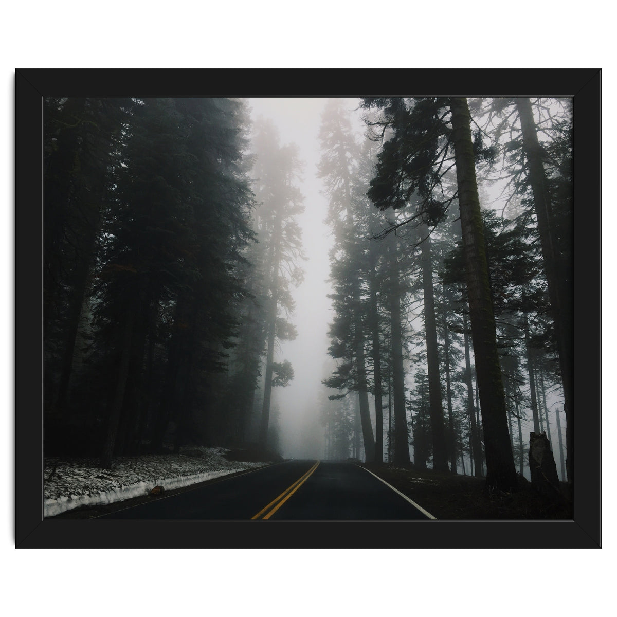 Foggy Yosemite