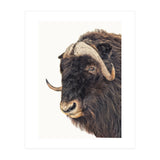 Cc Animal 02 (Print Only) thumbnail