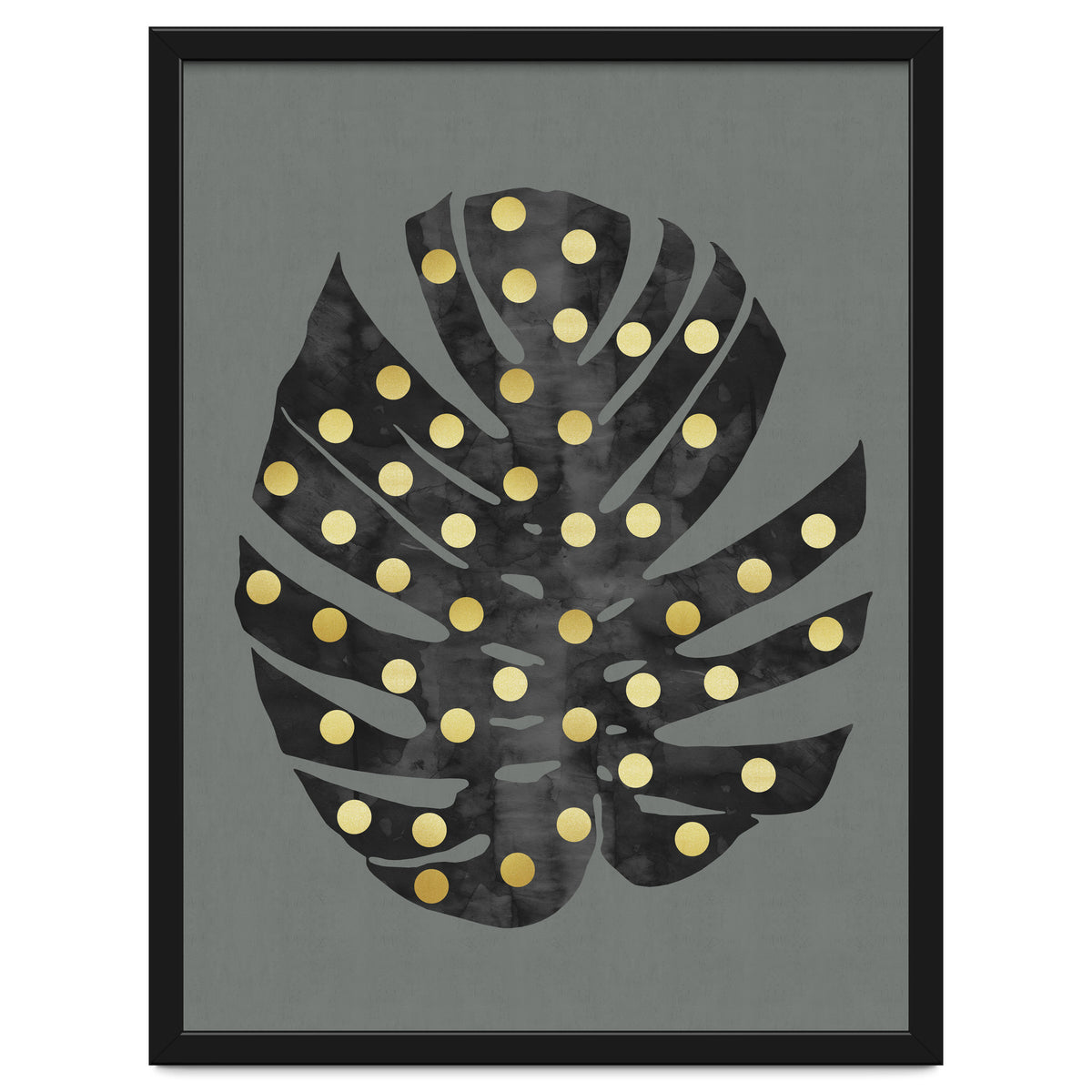 Monstera Deliciosa V