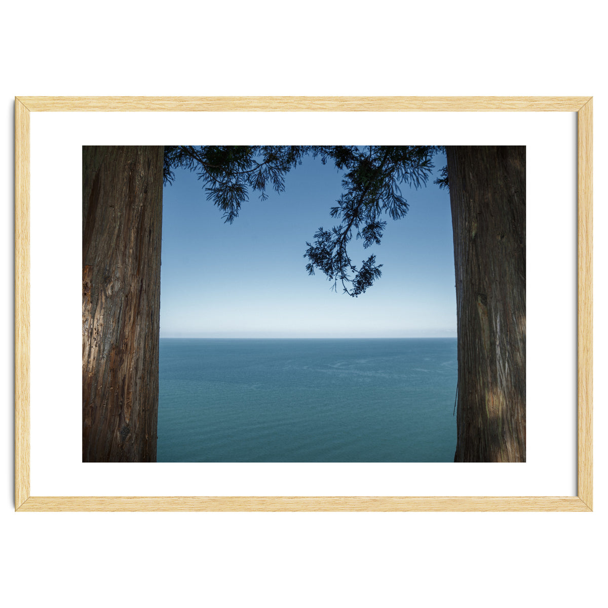 Picture Postcard Perfect