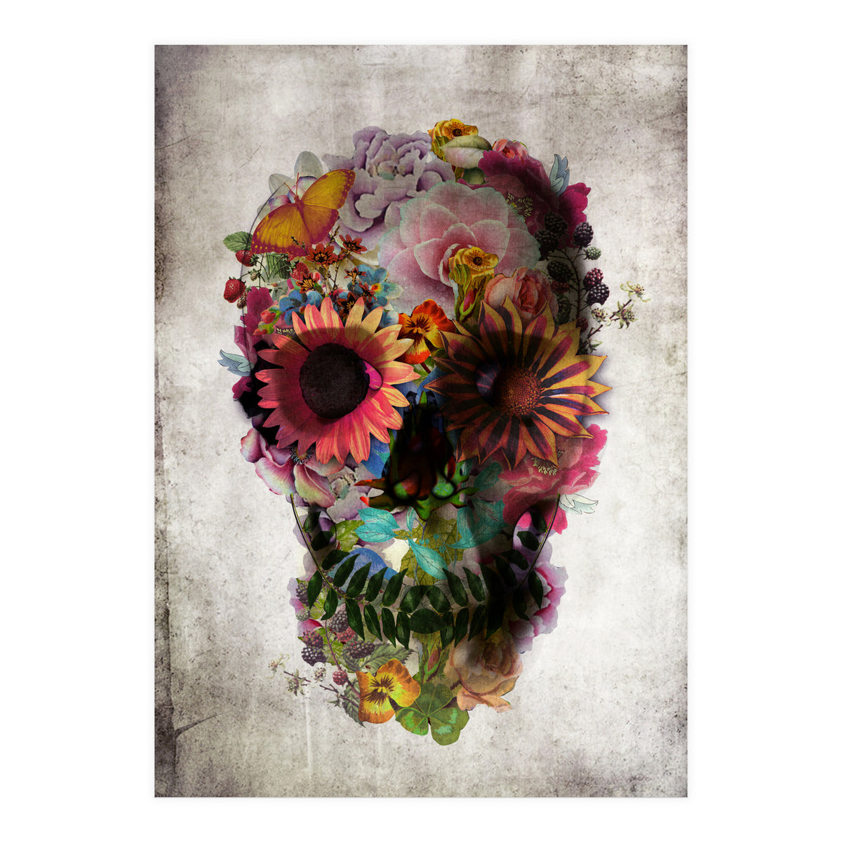 Skull (Print Only)