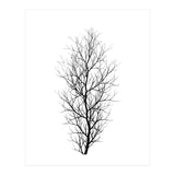 The Tree Black (Print Only) thumbnail