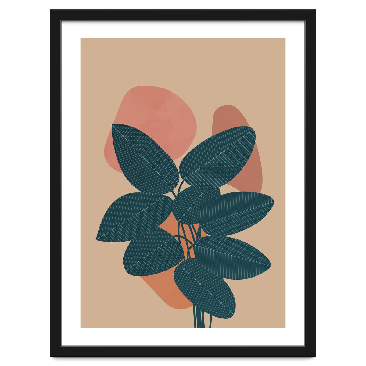 Rubber Plant Boho Botanical