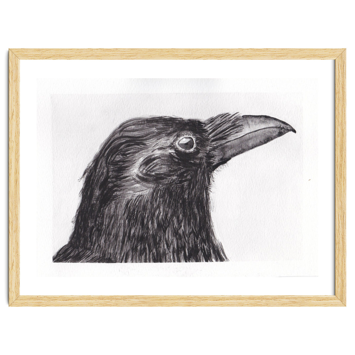 Crow
