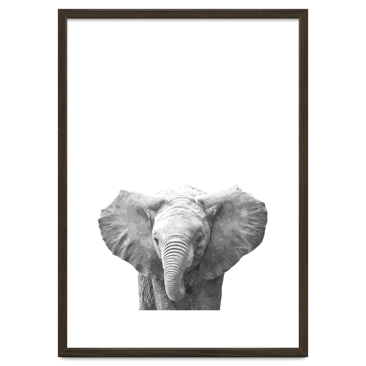 Black and White Baby Elephant